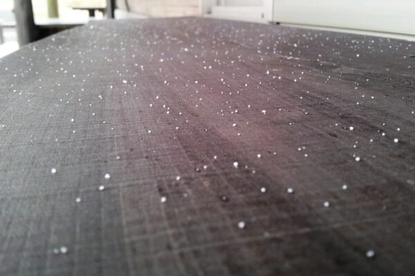 2010ピノノワール樽＆メルロー樽発売