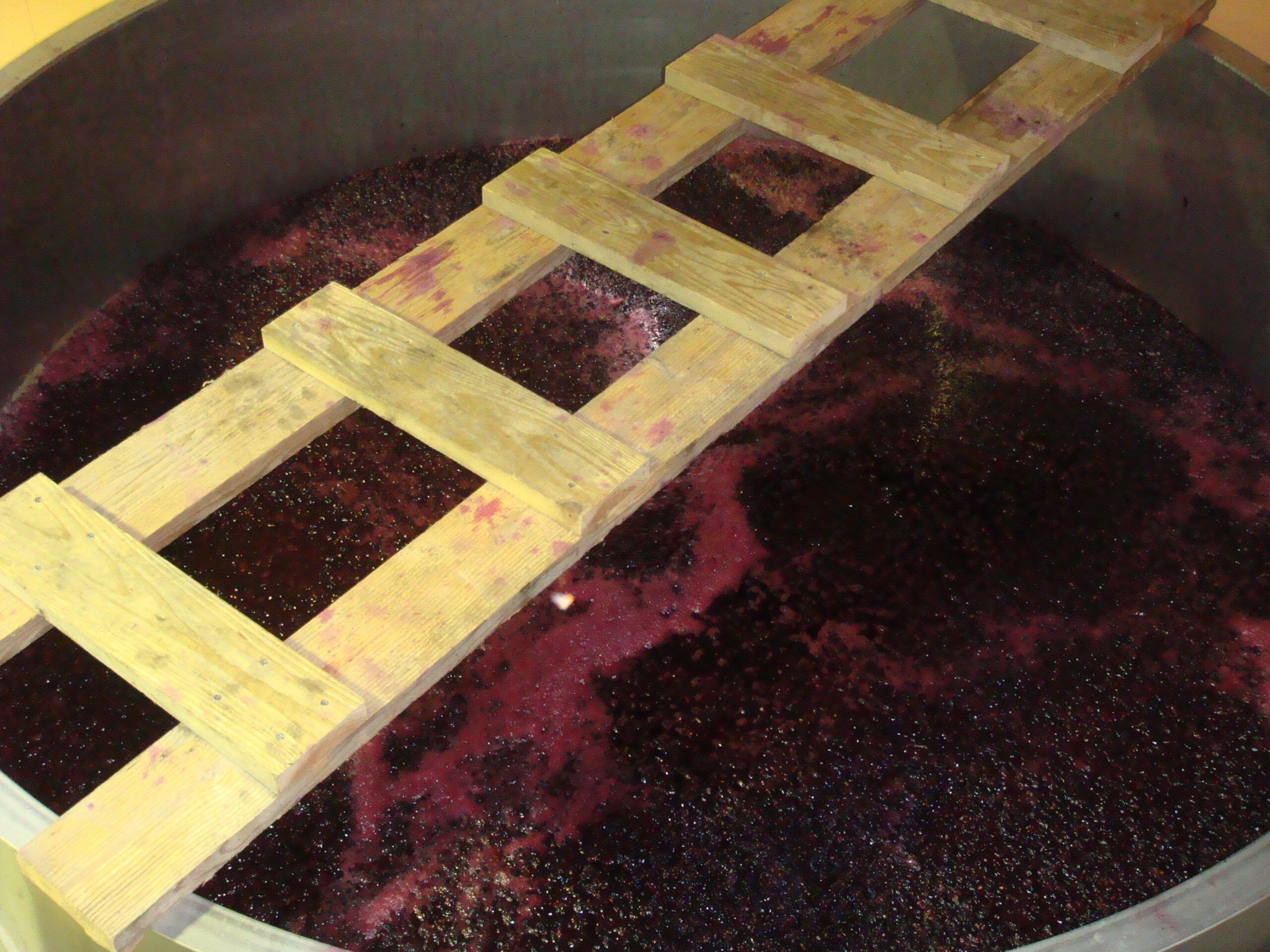 あなたが現在見ているのは 2012年のぶどう