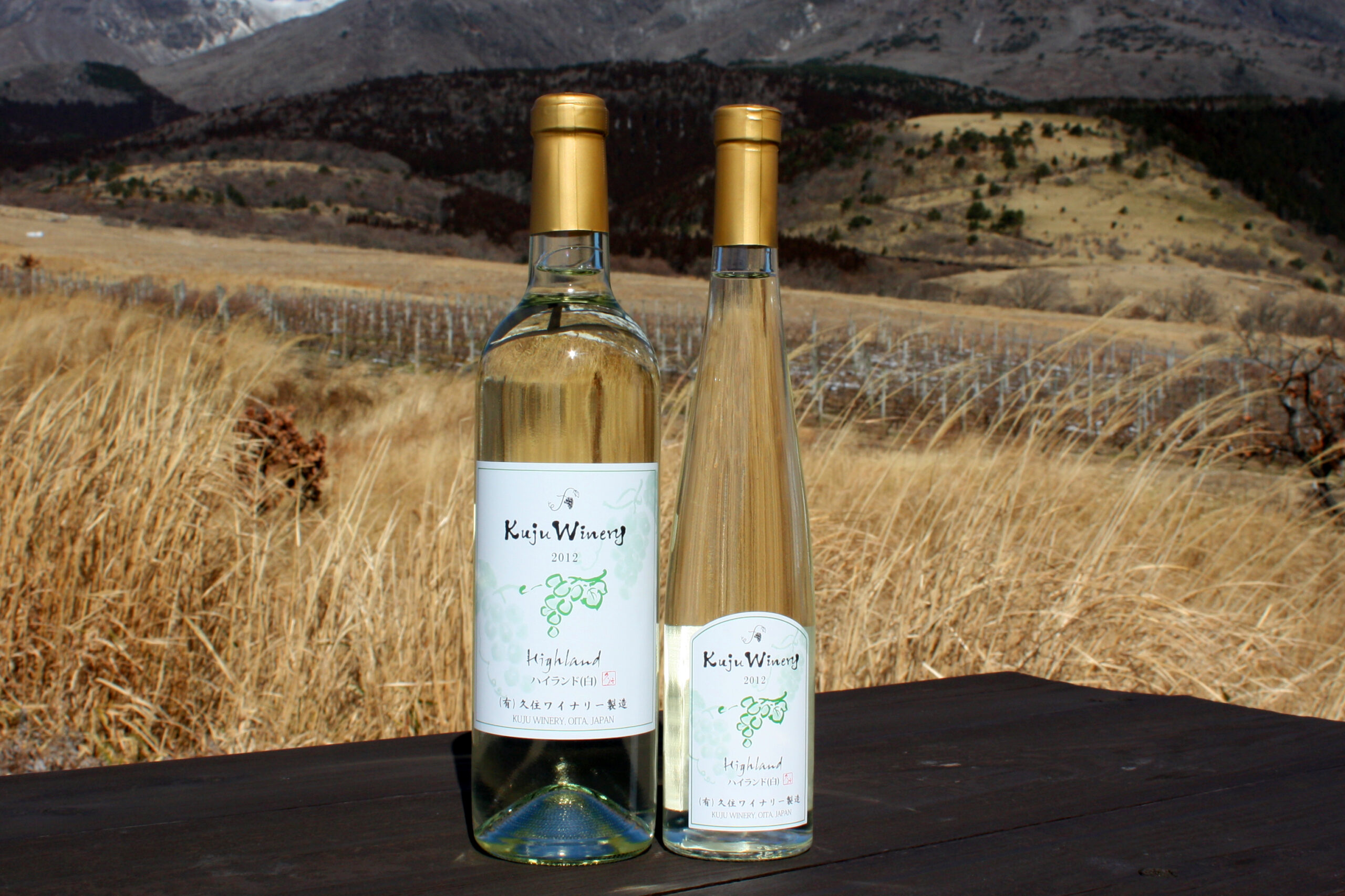 あなたが現在見ているのは 2013新酒第一弾