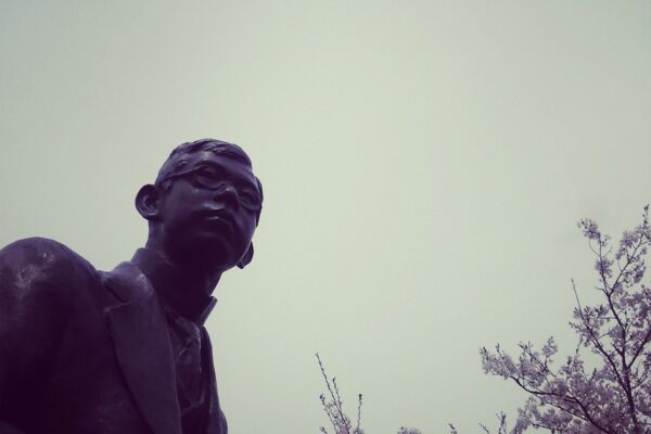 採れたてきのこ！