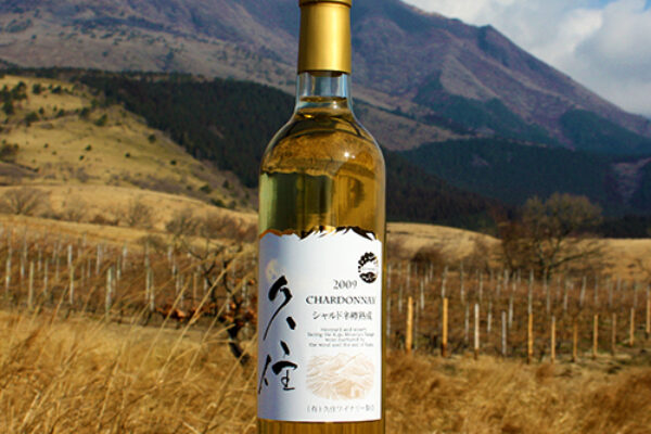シャルドネ樽熟成
