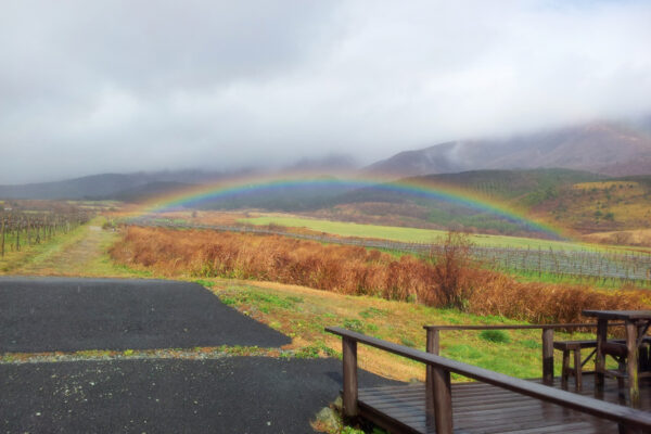 久住ワイナリーの四季