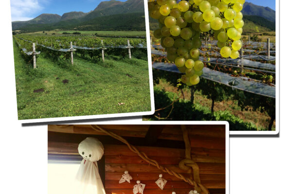 9月20(土）21(日）は収穫祭！