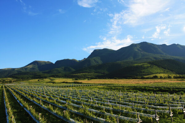 求人です（①料理人②農場管理者）