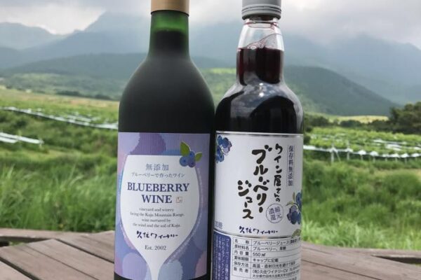 ニューリリース