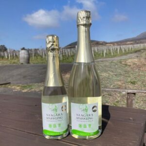 NVナイアガラドライスパークリング