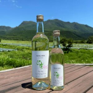 NVナイアガラスイート