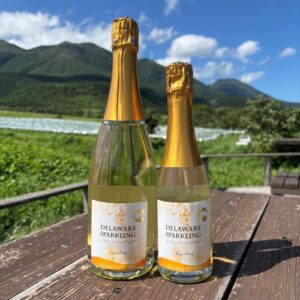 NVデラウェアスパークリング