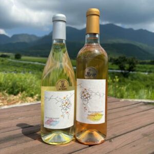 2024デラウェアGemin 白&オレンジワインのセット(数量限定)