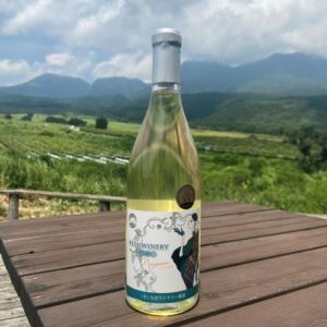 2022ナイアガラVirgo