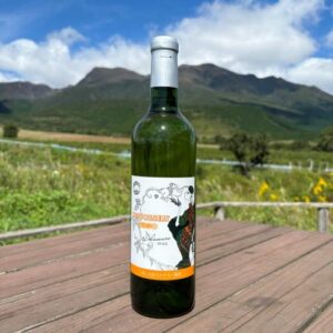 2022デラウェアVirgo