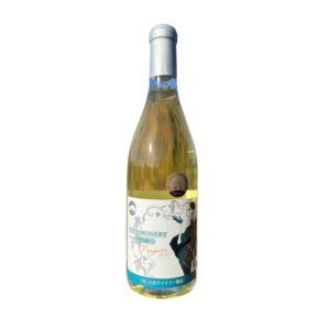 2022ナイアガラVirgo